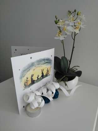 photo de faire part de naissance